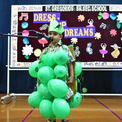 Pre Primary Fancy Dress 2025