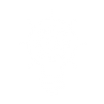 why-03 why-03